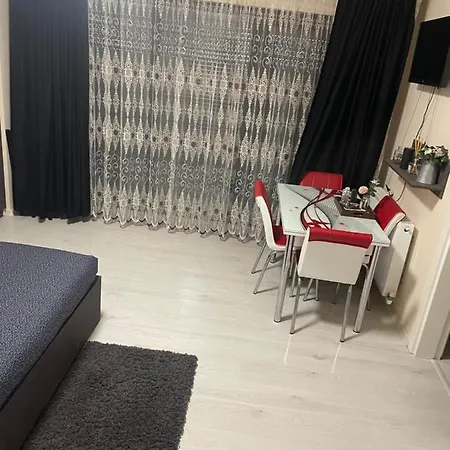 Studio Apartment *